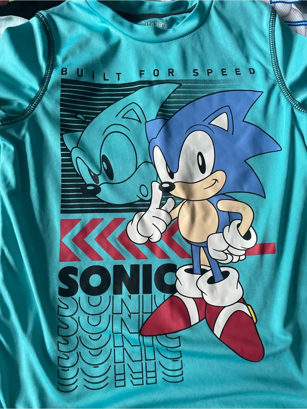 Sonic The Hedgehog sonic hedgehog